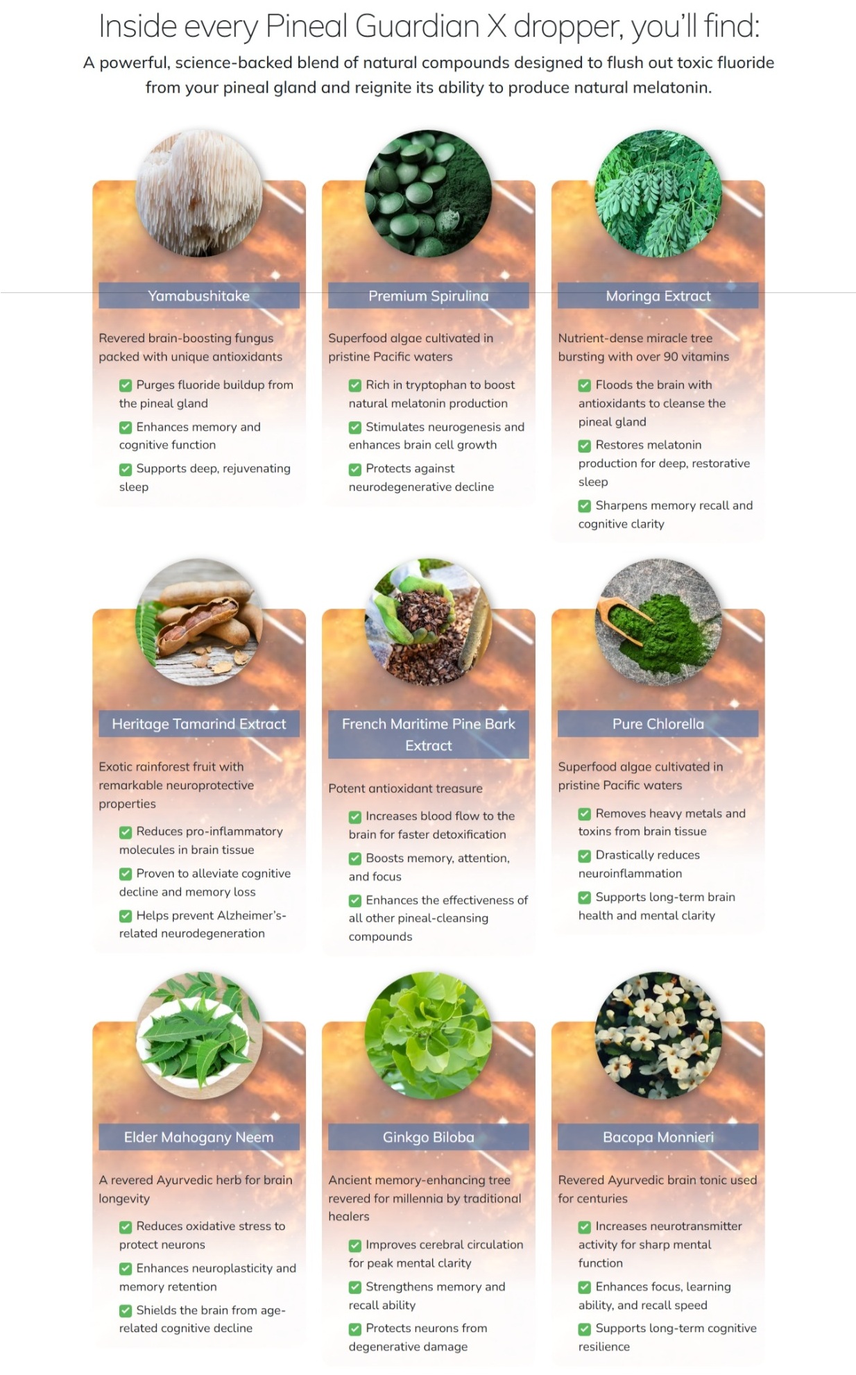 AUDIOS FOLLOW UP: CLOSES INGREDIENTS...